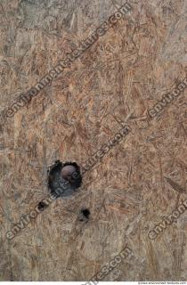 Photo Textures of Wood